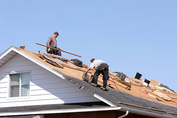 Best Skylight Installation and Repair  in Mount Union, PA